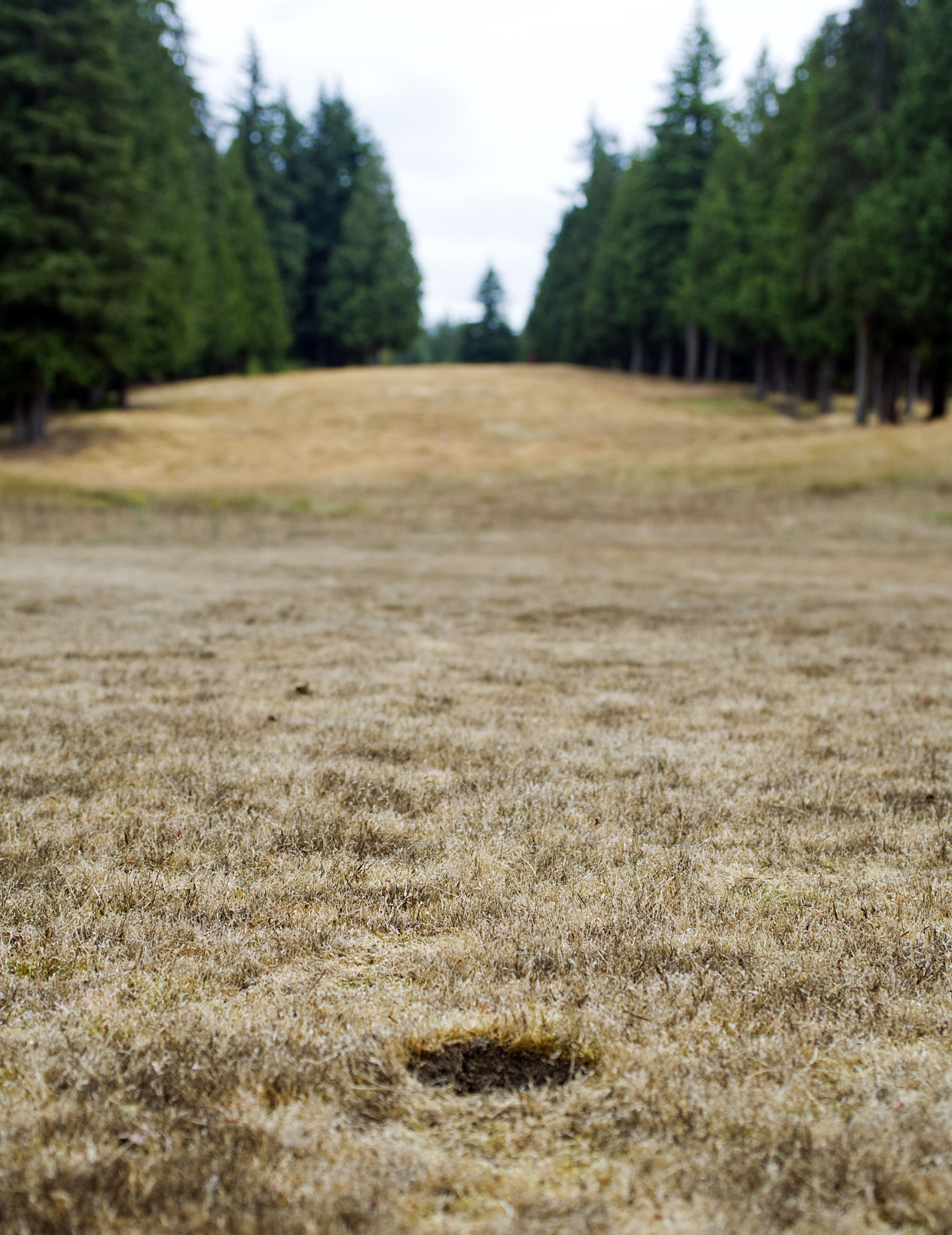 Kayak Golf Course, 8.8.19
